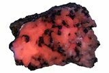 Tiny Pyrite Clusters on Calcite - Fluorescent! #256416-1
